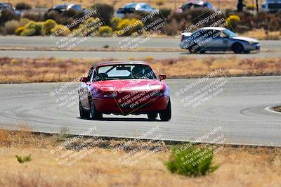 media/Nov-16-2024-Extreme Speed (Sat) [[6587d07cc4]]/Purple Group/Session 2 (Turns 3 and 5)/